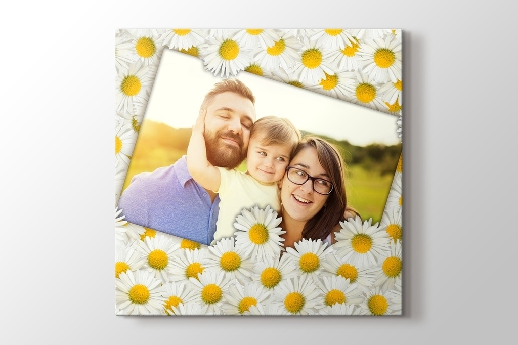 Picture of Daisies Photo on Canvas