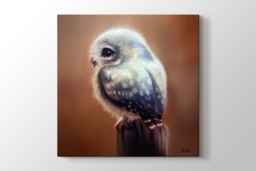 Picture of Blue Owl