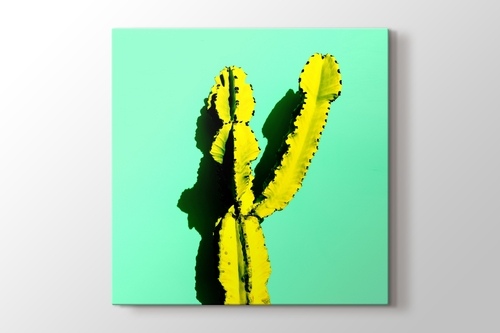 Picture of Yellow Cactus