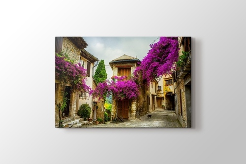 Picture of Provence - France