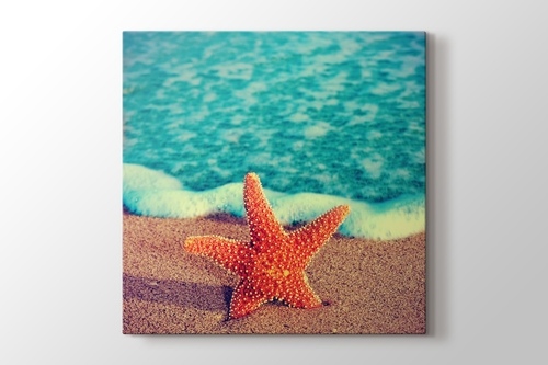 Picture of Starfish