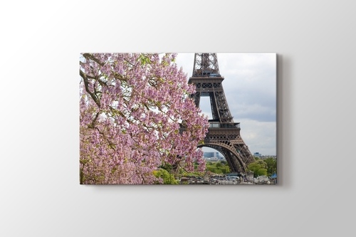 Picture of Eiffel Behind a Tree