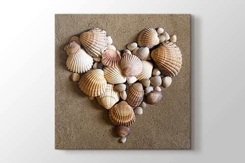 Picture of Heart Shaped Sea Shells