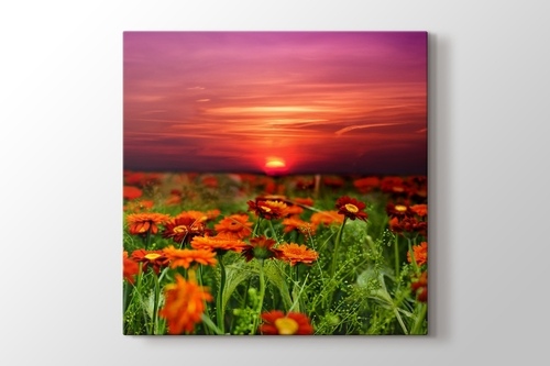 Picture of Sunset and Flower