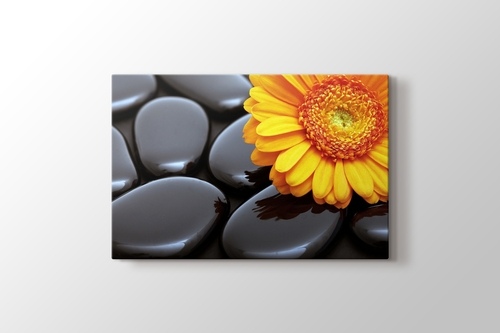 Picture of Black Pebbles and Flower