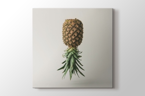 Picture of Pineapple Reverse