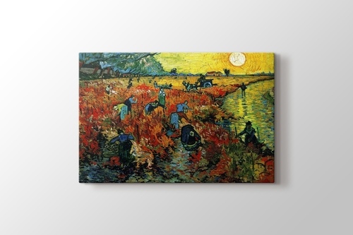 Picture of Red Vineyards