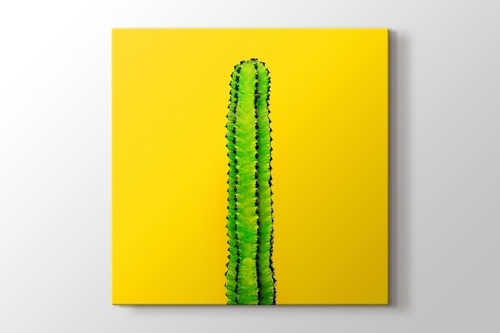 Picture of Green Cactus on Yellow
