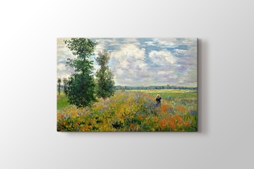Picture of Poppy Field Argenteuil