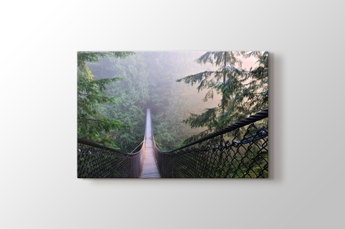 Picture of Lynn Canyon Park