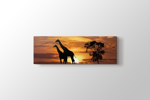 Picture of Giraffes and the Sunset