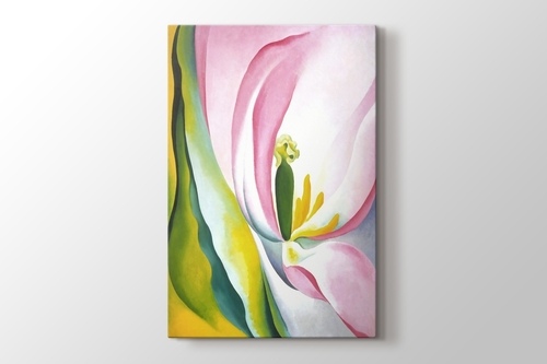 Picture of Pink Tulip