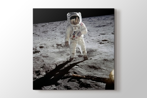 Picture of Buzz Aldrin on the Moon