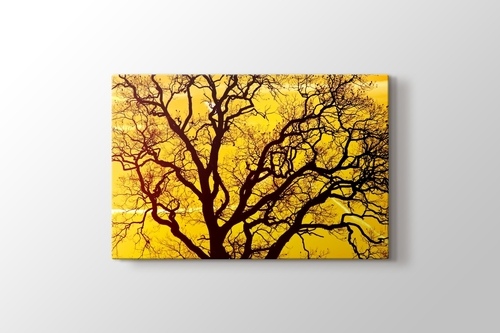 Picture of Yellow Sky