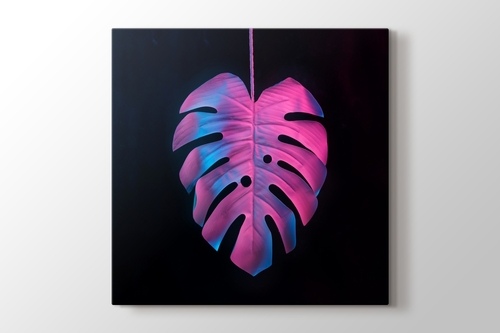 Picture of Monstera Neon