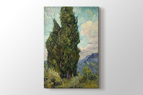 Picture of Cypresses