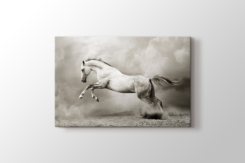 Picture of Silver Horse