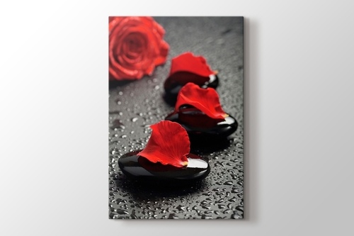 Picture of Black Pebbles and Red Rose