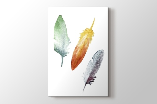 Picture of Coloured Feathers
