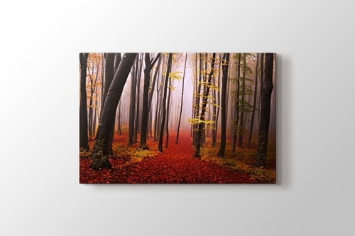 Picture of Autumn Forest Path