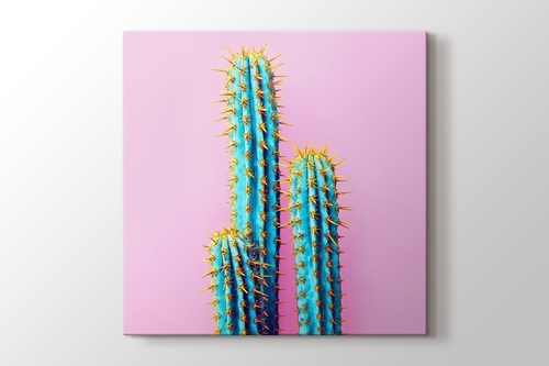 Picture of Cactus on Pink