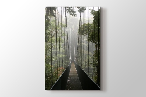 Picture of Bridge in the Forest