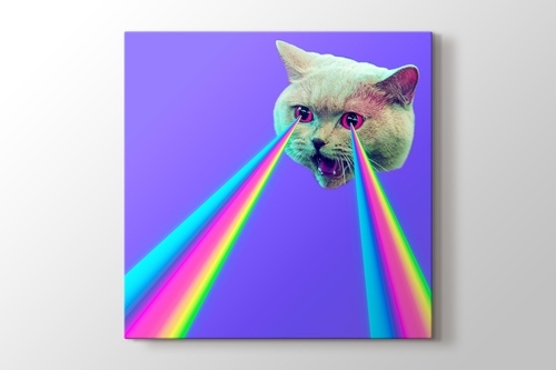 Picture of Rainbow Cat Eye