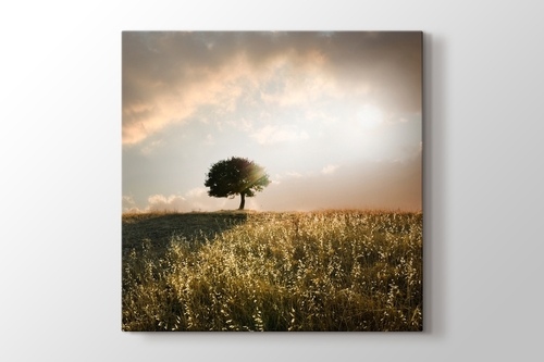 Picture of Loner Tree