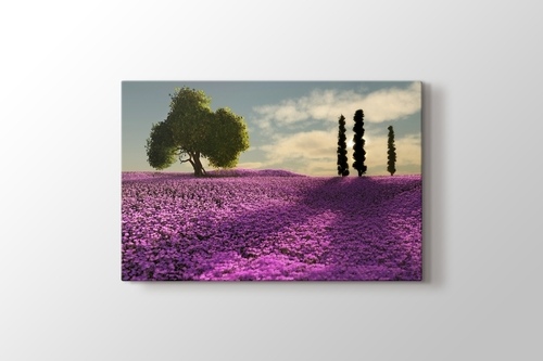 Picture of Trees and Lavender Field