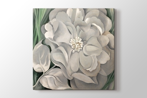 Picture of Georgia O'Keeffe - White Calico Flower