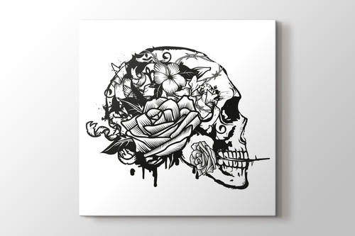 Picture of Skull