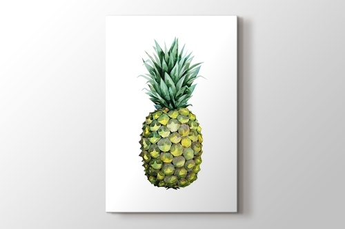 Picture of Ananas