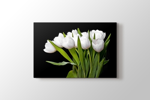 Picture of White Tulips