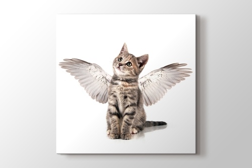 Picture of Angel Cat