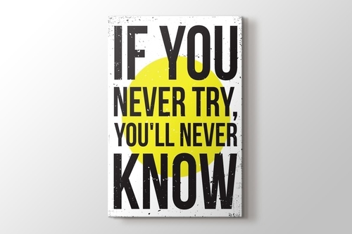 Picture of Never Try Never Know