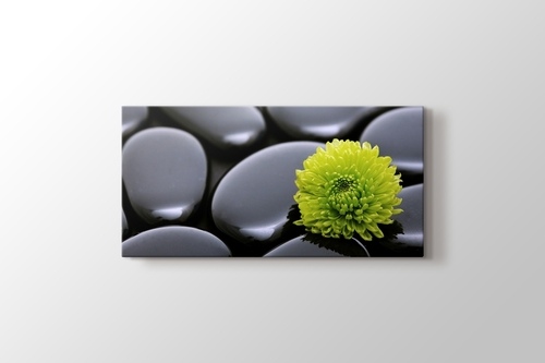 Picture of Black Pebbles and Flower