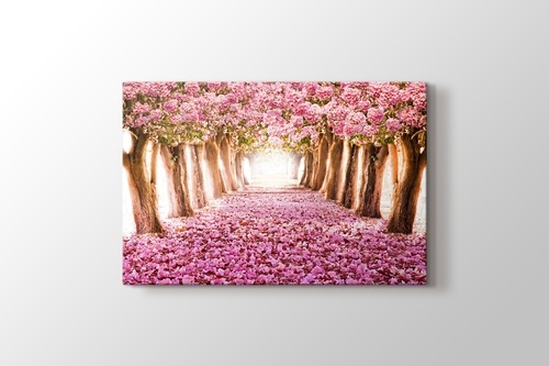 Picture of Pink Trees