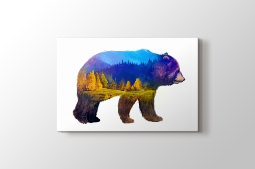 Picture of Bear Nature