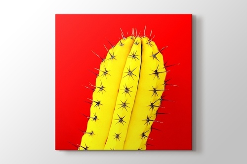 Picture of Yellow Cactus on Red