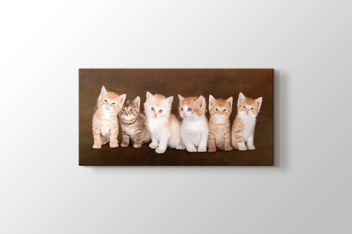 Picture of Little Cats