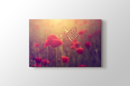 Picture of Poppy and Butterfly