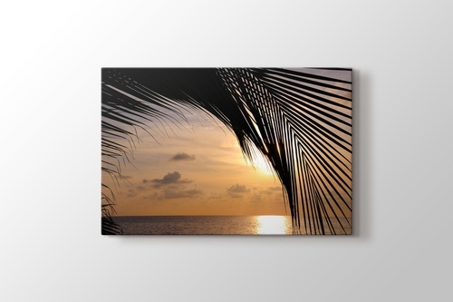 Picture of Sunset and a Palm Tree