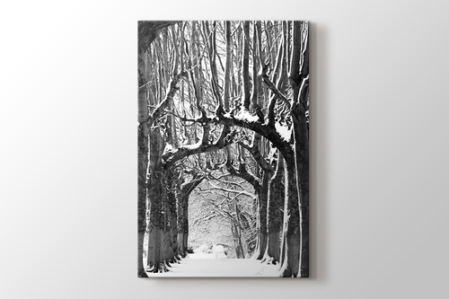Picture of Snowy Path