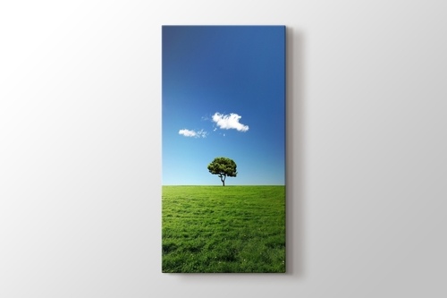 Picture of Tree