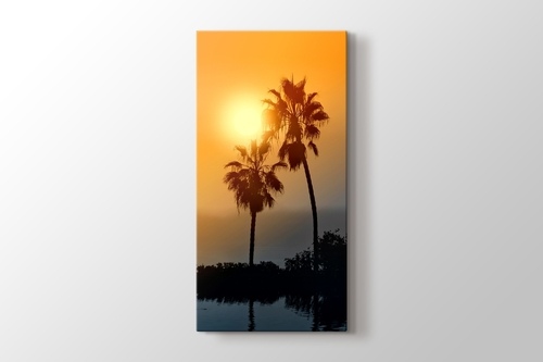 Picture of Palms