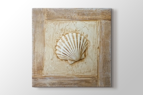 Picture of Seashell
