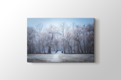 Picture of Winter Trees