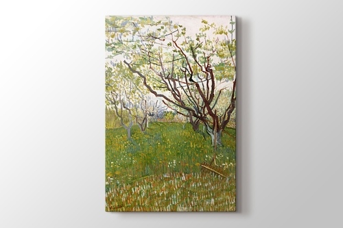 Picture of The Flowering Orchard