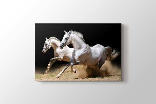 Picture of White Horses