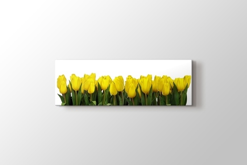 Picture of Yellow Tulips